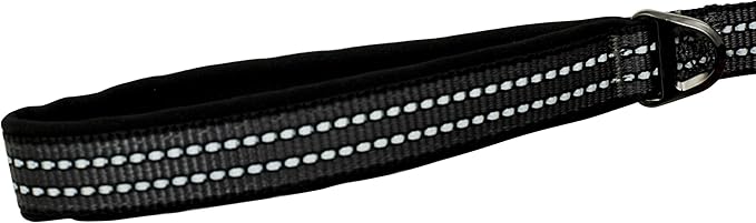Franklin Pet Supply Nylon Dog Leash – Reflective – Comfort Fit – Neoprene Handle – 6 Foot – Dog Training – Walking – Black