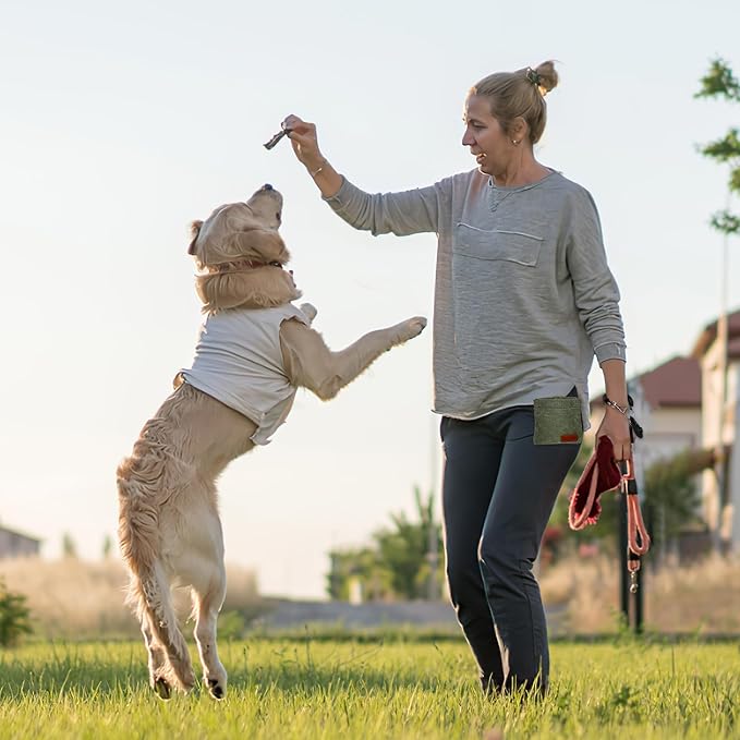 Dog Treat Pouch Training Kit, Small Puppy Treat Bag with Clip, Dog Clicker and Whistle for Pet Training, 5ft Leash with Padded Handle, Dog Poop Bag Dispenser for Leash(Poop Bag Included).