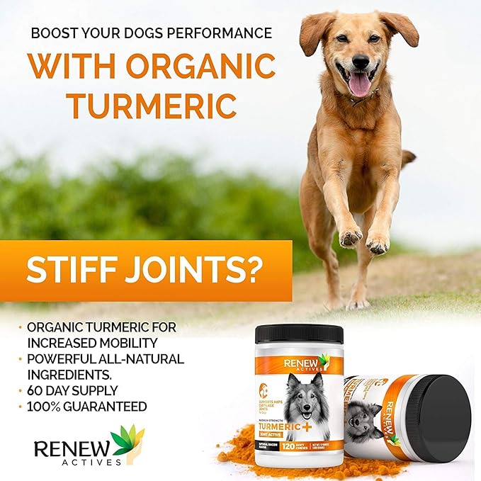 Renew Actives Organic Turmeric Joint Supplement for Dogs - Advanced Canine Support for Hip, Joint & Cartilage Health - Natural Mobility Formula with 120 Chewable Soft Treats