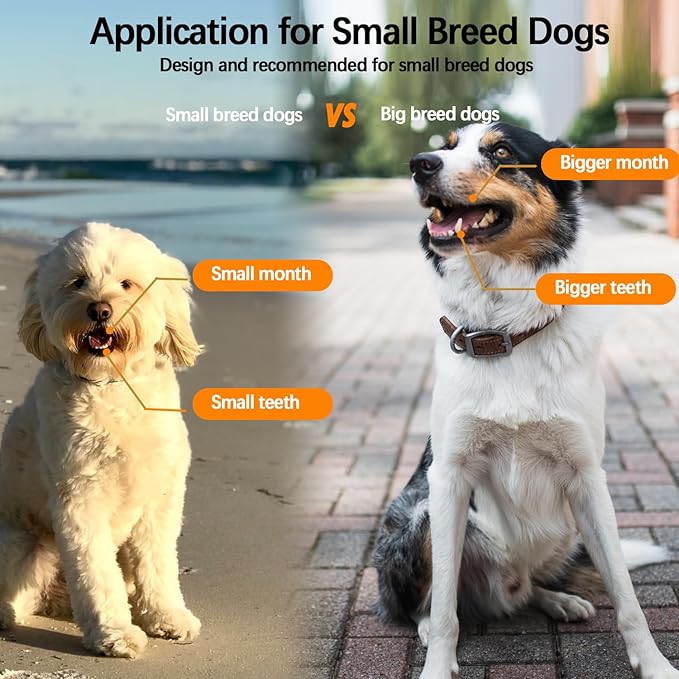 JGocot Small Dog Toothbrush,Cat Toothbrush|Mini Head|Micro Nano Bristle|Ultra Soft Pet Toothbrush for Sensitive Gum, Dog Dental Care Kit for Puppy,Kitten,Cats&Small Breed Dogs(3Pack)