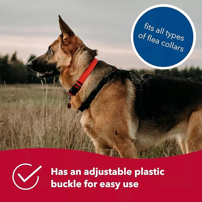 Coastal Pet SecureAway Flea Collar Protectors - Comfortable Dog Collar Accessory - Protective Flea Collar for Dogs - Adjustable Dog & Puppy Flea Collar Protection - Multi Bones, 5/8" x 8-12"