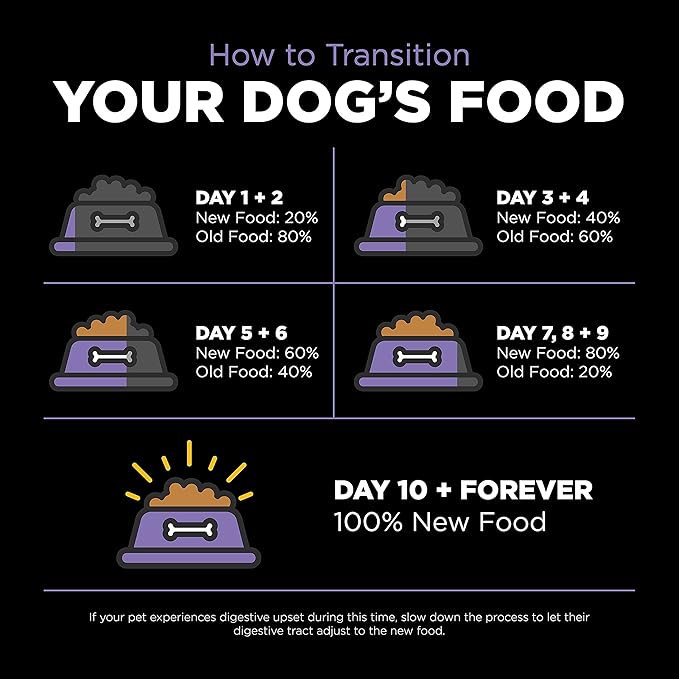 GO! SOLUTIONS Carnivore Grain Free Dog Food for Senior Dogs, 12 lb – Chicken, Turkey + Duck Recipe – Protein Rich Dry Dog Food – Complete + Balanced Nutrition for Senior Dogs
