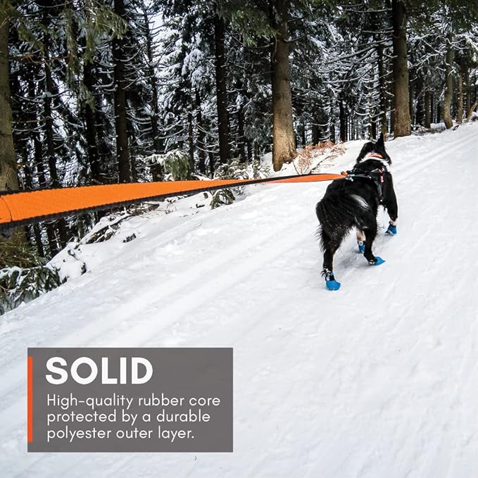 Non-stop dogwear Bungee leash Elastic Dog Leash for Sports like Running, Biking and Skiing with Dogs, Black/Orange, Size 2.8 m / 23 mm