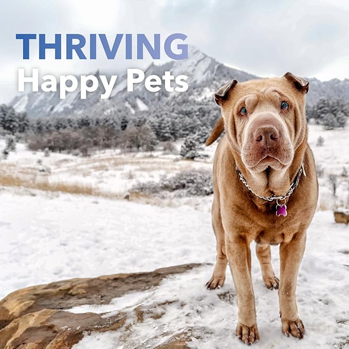 In Clover BioRen Kidney Health for Dogs & Cats