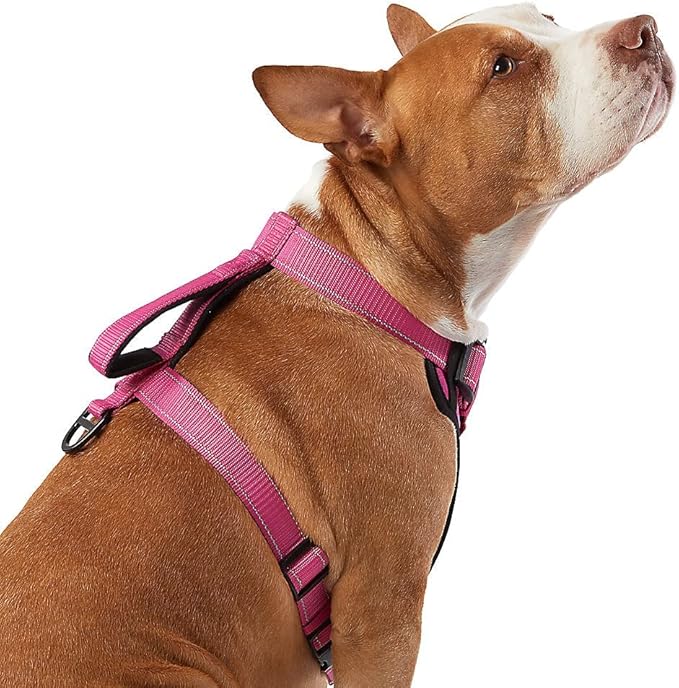 KONG Max Ultra Durable Neoprene Padded Chest Plate Dog Harness offered by The Barker Company (Pink, Medium)