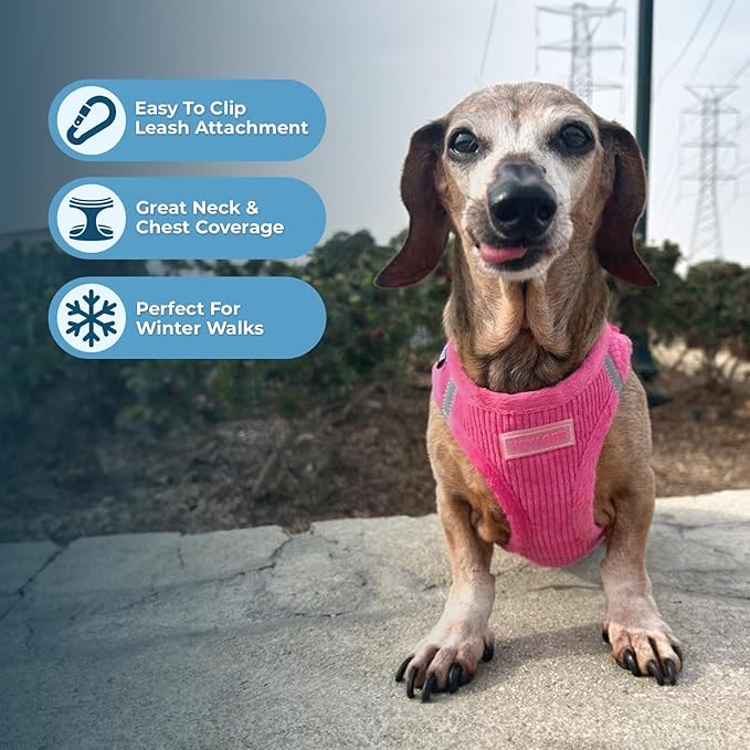 Voyager Step-in Plush Dog Harness – Soft Plush, Step in Vest Harness for Small and Medium Dogs by Best Pet Supplies - Harness (Fuchsia Corduroy), XS (Chest: 13-14.5")