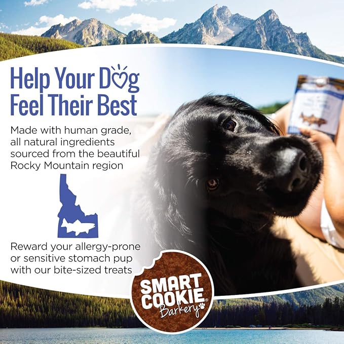 All Natural Dog Treats - Trout & Apple - Training Treats for Dogs with Allergies, Sensitive Stomachs - Soft Dog Treats, Grain Free, Chewy, Human-Grade, Made in USA - 5oz, Pack of 3