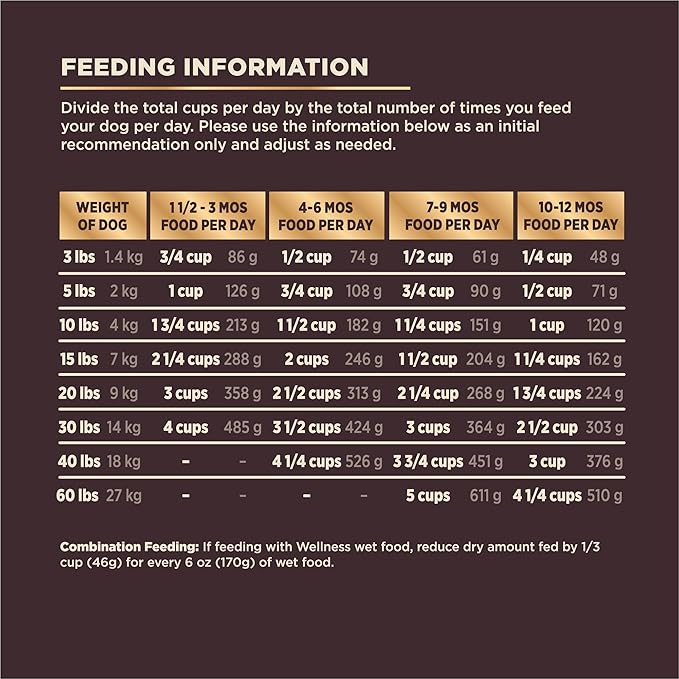 Wellness CORE+ Dry Puppy Food with Wholesome Grains, Natural Ingredients, Made in USA with Real Freeze-Dried Meat (Puppy, Turkey, 10 lbs)