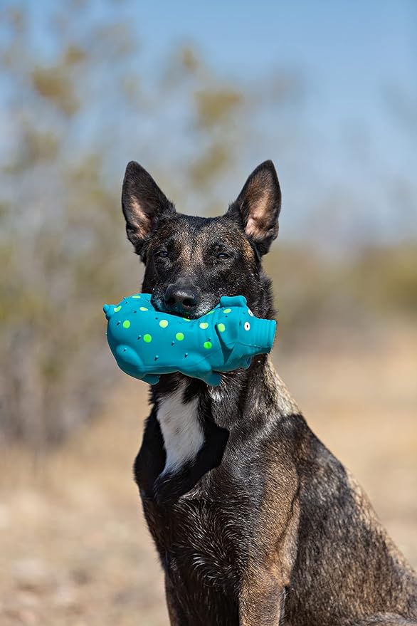 Multipet's 9-Inch Latex Polka Dot Globlet Pig Dog Toy, Assorted Colors