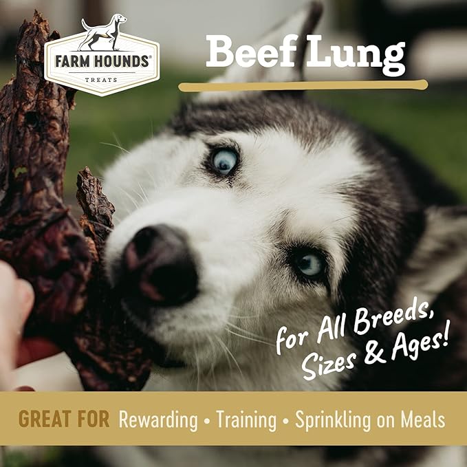 Farm Hounds Beef Lung Jerky Treats for Dogs, Premium Dried Dog Treats, High Protein Training Treat for Small & Large Dogs, Natural & Healthy Dog Treats, Made in USA, Beef Lung 2oz