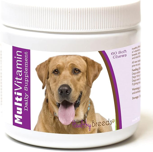 Healthy Breeds Labrador Retriever Multi-Vitamin Soft Chews 60 Count