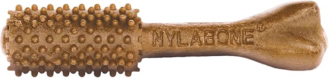 Nylabone Nutri Dent Dog Dental Chews - Natural Dog Teeth Cleaning & Breath Freshener - Dental Treats for Dogs - Filet Mignon Flavor, Small (28 Count)