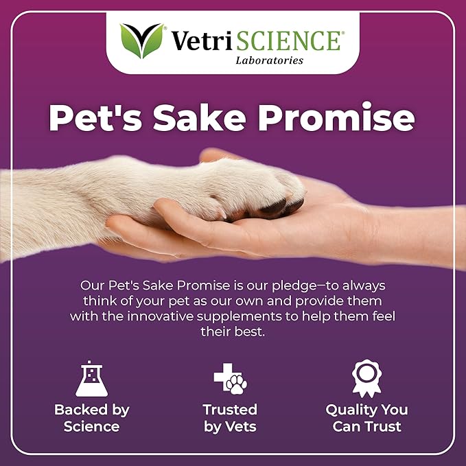 VetriScience Omega Plus Advanced Skin Supplement for Dogs – Fish Oil Supplement for Itchy Skin with Omegas 3, 6, 9 Fatty Acids and Added Nutrients