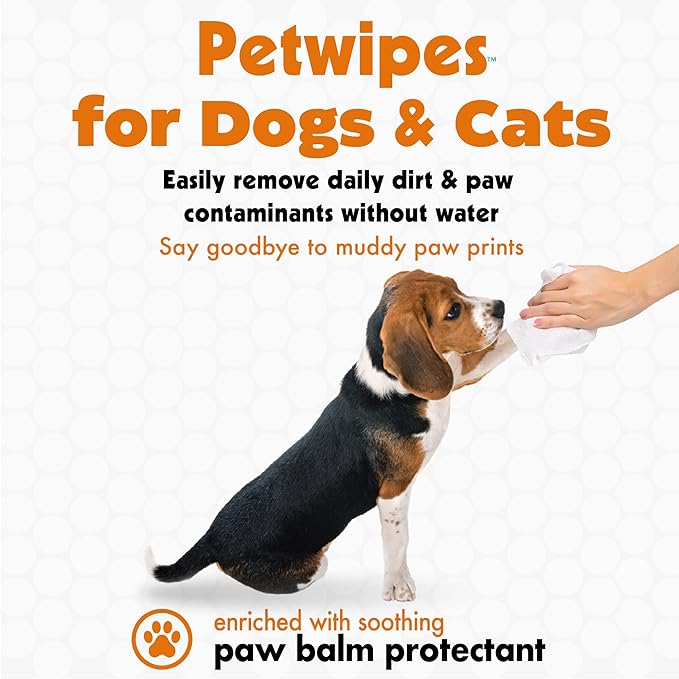 Petkin Big N' Thick Paw Wipes for Dogs, 100 Large Wipes (4 Pack) - Clean Dirty Paws After Walks, with Paw Balm Protectant - Keep Floors and Furniture Clean - Ideal for Home or Travel - Orange Scent