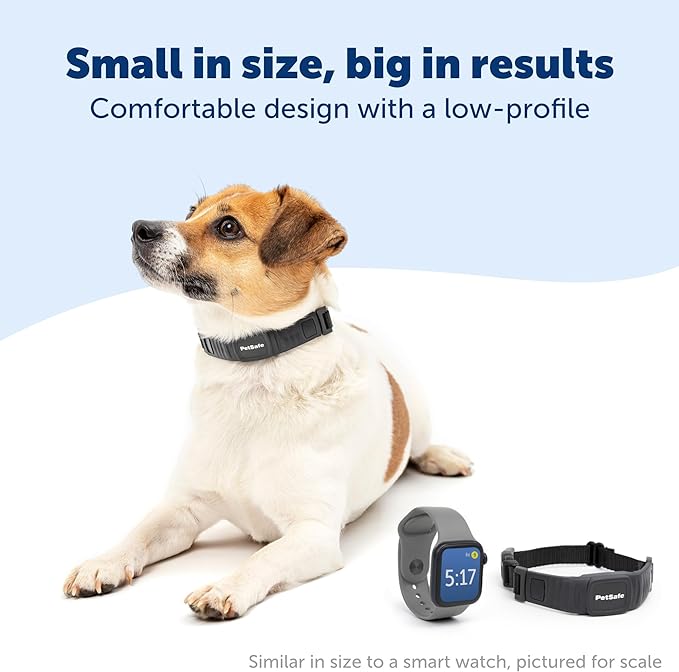 PetSafe NanoBark Collar - World's Smallest Bark Collar for Small Dogs, 10 Levels of Static Stimulation, Waterproof and Rechargeable Anti-Bark Training, Comfortable and Low-Profile Design