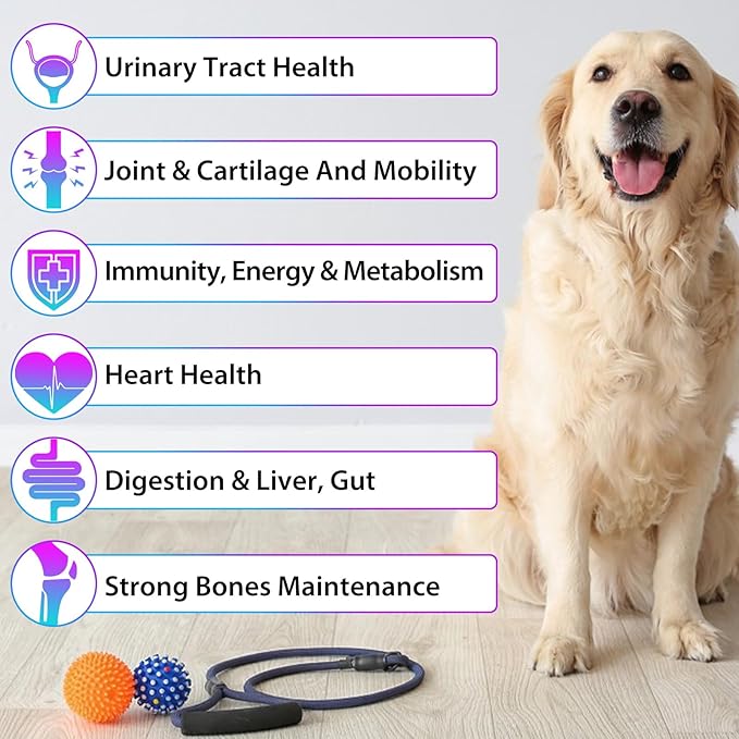 15 in 1 Dog Multivitamin Drops for Dogs - Dog Vitamins & Supplements Natural Dog Multivitamins and Minerals - Glucosamine, MSM for Skin & Coat, Heart Health, Bones, Joint, Immune System Support