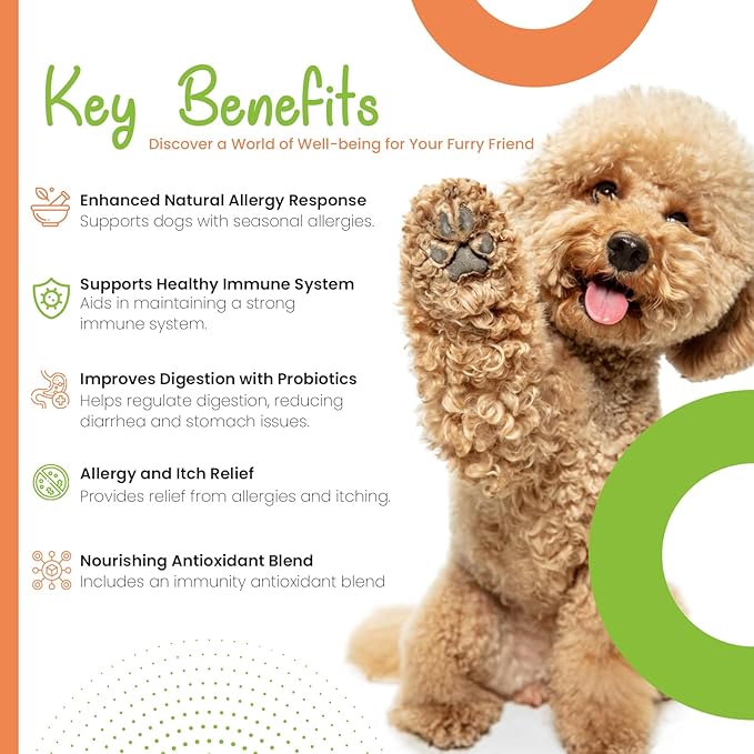 Allergy + Immune Chews for Dogs - Dog Supplements for Itchy Skin and Seasonal Allergy Relief- Natural Dog Immune Support- Digestive Health Probiotics - 120ct
