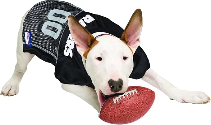 NFL Raiders Dog Jersey, Size: XX-Large. Best Football Jersey Costume for Dogs & Cats. Licensed Jersey Shirt