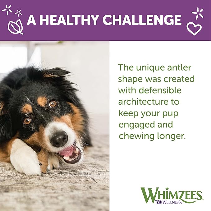 WHIMZEES by Wellness Occupy Antler Natural Dental Chews for Dogs, Long Lasting Treats, Grain-Free, Freshens Breath, Small Breed, 24 count