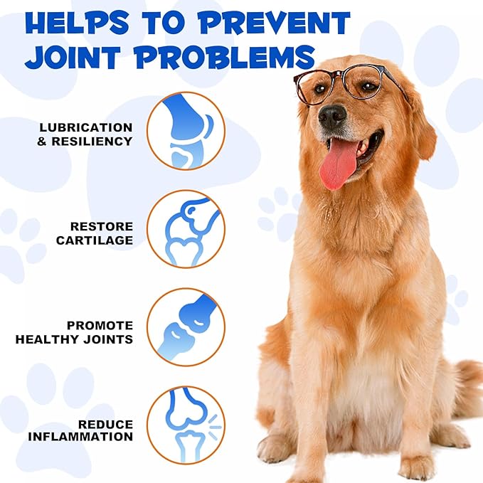 Hip & Joint Glucosamine Drops for Dogs, Supports Joint Health, Dog Joint Pain Relief Treats - Enhances Mobility Support, Joint Supplement for Dogs, Bacon Flavor - 60ml / 2 fl.oz