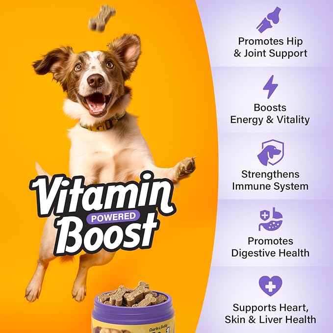 Charlie & Buddy Dog Multivitamin 21 in1 - Dog Vitamins and Supplements with Vitamin C Multivitamin for Dogs - Chicken Flavour Dog Vitamins Soft Chews - 90ct