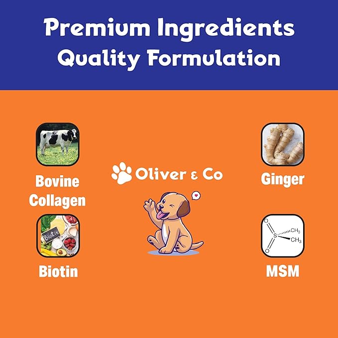 Collagen for Dogs - Dog Collagen - Liquid Collagen for Dogs - Itch Relief for Dogs - Dog Liquid Collagen - Liquid Collagen Dogs - Collagen Supplement for Dogs - Collagen Dogs - 1 fl oz - Bacon Flavor