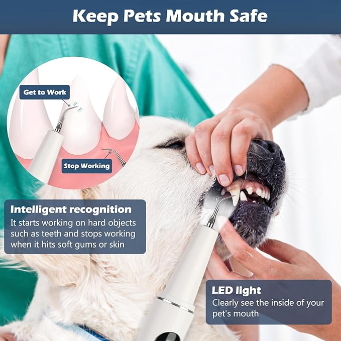 Plaque Remover for Teeth,Dog Teeth Cleaning kit,Tartar Remover for Dog Tooth,5 Modes Ultrasonic Dental Tool Cleaner & Scraper for Pet Tooth with Led Light-White