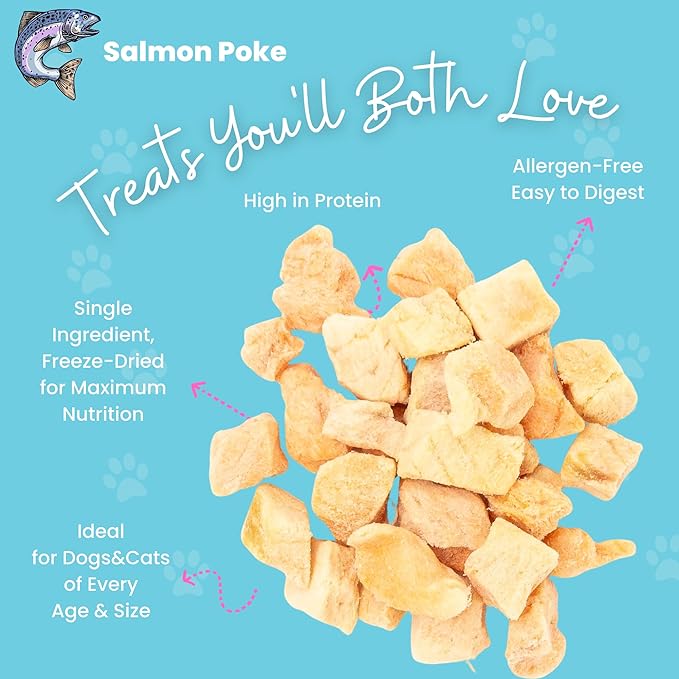 hotspot pets Freeze Dried Salmon Treats for Cats & Dogs -Made in USA-1LB BIG BAG -Resealable-Single Ingredient All Natural Grain-Free- Perfect for Training, Topper or Snack (Salmon Poke)