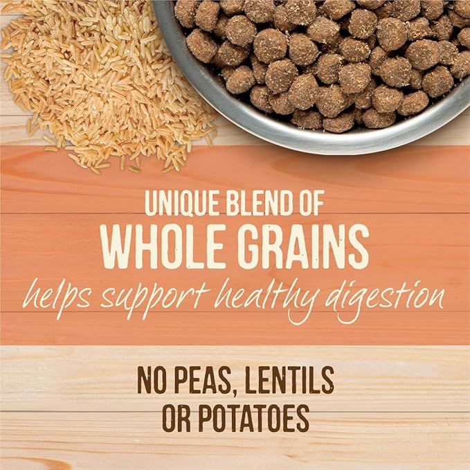 Merrick Healthy Grains Freeze Dried Raw Coated Kibble, Natural High Protein Dog Food, Salmon and Brown Rice - 10.0 lb. Bag