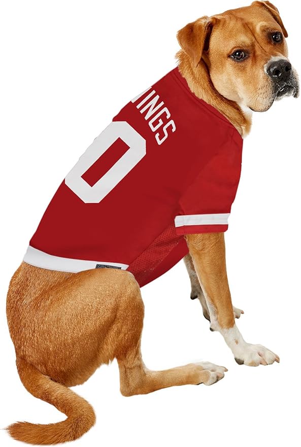 Pets First NHL Detroit Red Wings Jersey for Dogs & Cats, X-Small. - Let Your Pet Be A Real NHL Fan!