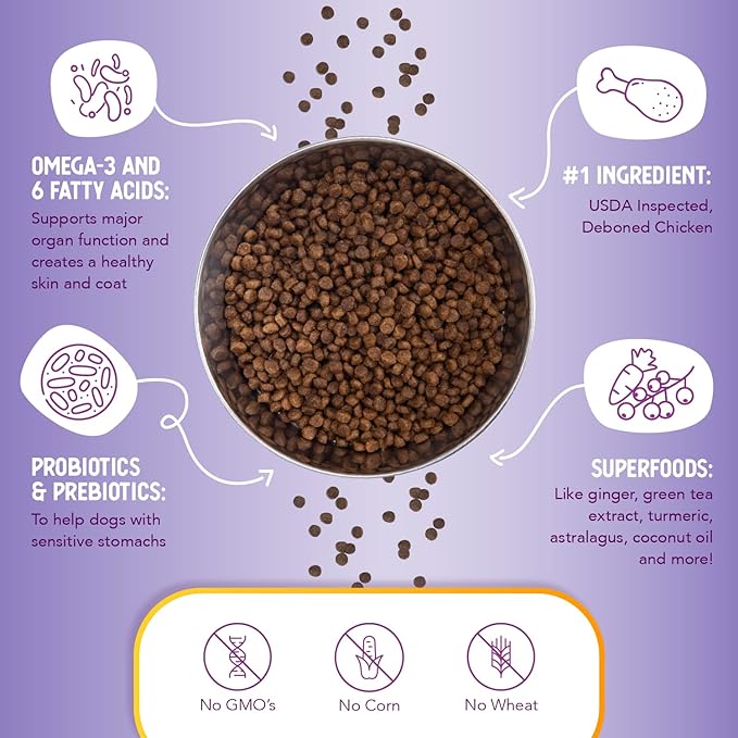 Health Extension Little Bites Dry Dog Food, Natural Food with added Vitamins & Minerals, Suitable for Teacup, Toy & Small Dogs, Chicken & Brown Rice Recipe (1 Pound / 0.4 Kg)