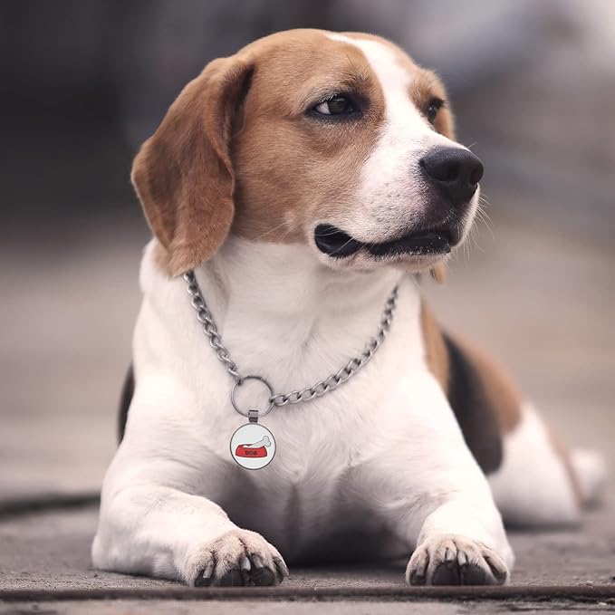 MYLUCKYTAG QR Code Pet ID Tags Dog Tags - Pet Online Profile - Scan QR Receive Instant Pet Location Alert Email