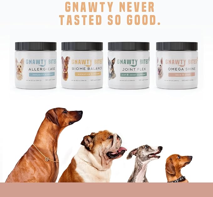 Gnawty Bites Omega Shine Dog Allergy Relief | Skin & Coat Strengthening Probiotics for Dogs with DHA Gold, Wild Alaskan Salmon Oil, Omega-6, Omega-9 & Omega-3 for Dog | 120 Soft Chews - (264 G)