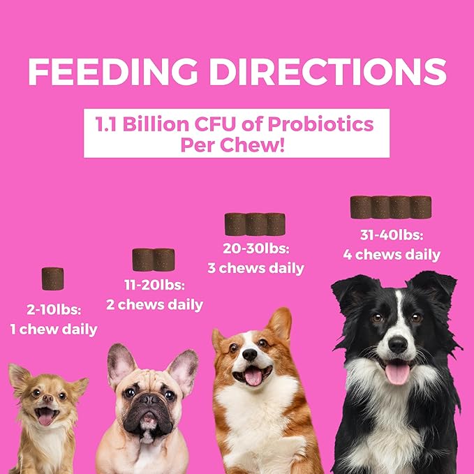 Nootie Progility Mini Pre & Probiotic Supplement, Digestive Aid Supplement for Dogs, 60 Soft Chews per Container
