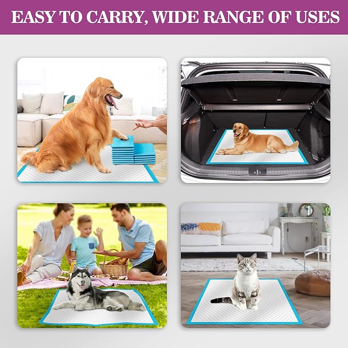 IMMCUTE Extra Large Dog Pee Pads 28"x30"-50 Count | X-Large Puppy Pee Training Pads Super Absorbent & Leak-Proof | Disposable Pet Piddle and Potty Pads for Puppies | Dogs | Doggie