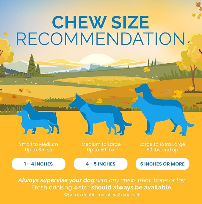 6 Inch Bully Sticks for Dogs (1 Pound Bag) 100% Natural Chews for Dogs & Puppies - Grass-Fed Free-Range Premium Beef Dog Chews - Bulk Dog Sticks Chew Dental Treats