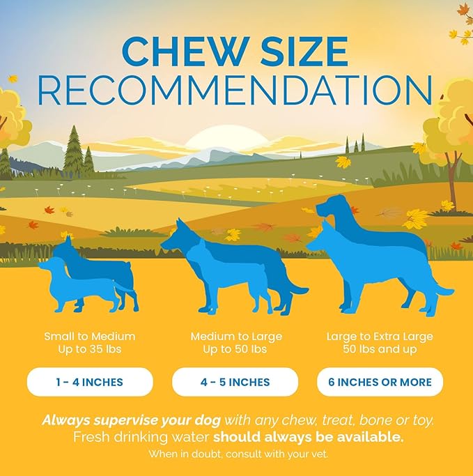 Beef Dog Treats (6 Inches - 30 Count) 100% Natural Gullet sticks for dogs - Delicious Dog Jerky Snack for Dogs