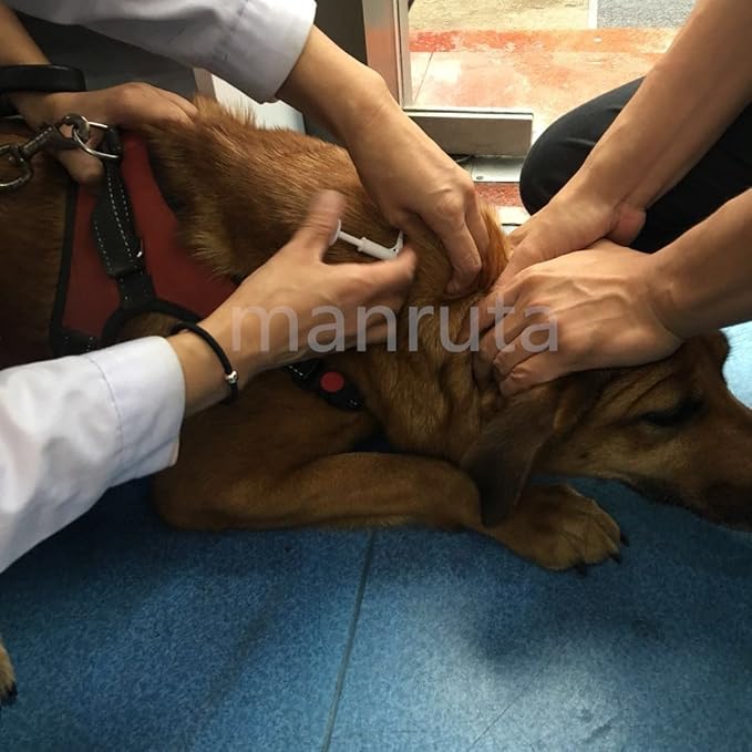 Animal ID Microchip for Dogs Cats Horses Pigs Cows 20 Pack 2.12X12mm ISO11784/ISO11785/FDX-B Pet ID Tags, 15 ID Microchip