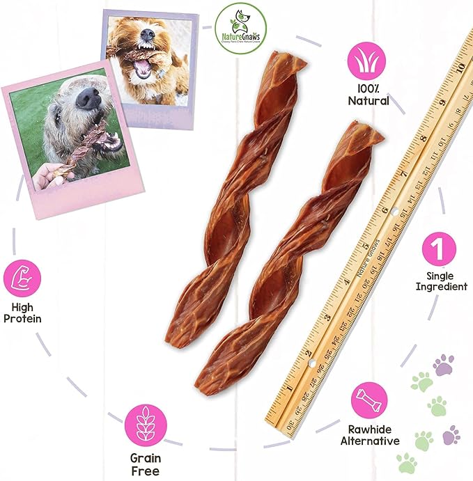 Nature Gnaws - Beef Jerky Springs for Dogs - Premium Natural Beef Gullet Sticks - Simple Single Ingredient Tasty Dog Chew Treats - Rawhide Free 7-8 Inch