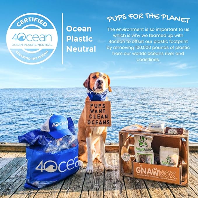 Nature Gnaws Mixed Beef Tendons & Paddywack for Dogs - Premium Natural Beef Dental Bones - Long Lasting Tasty Dog Chew Treats - Puppy Training Reward