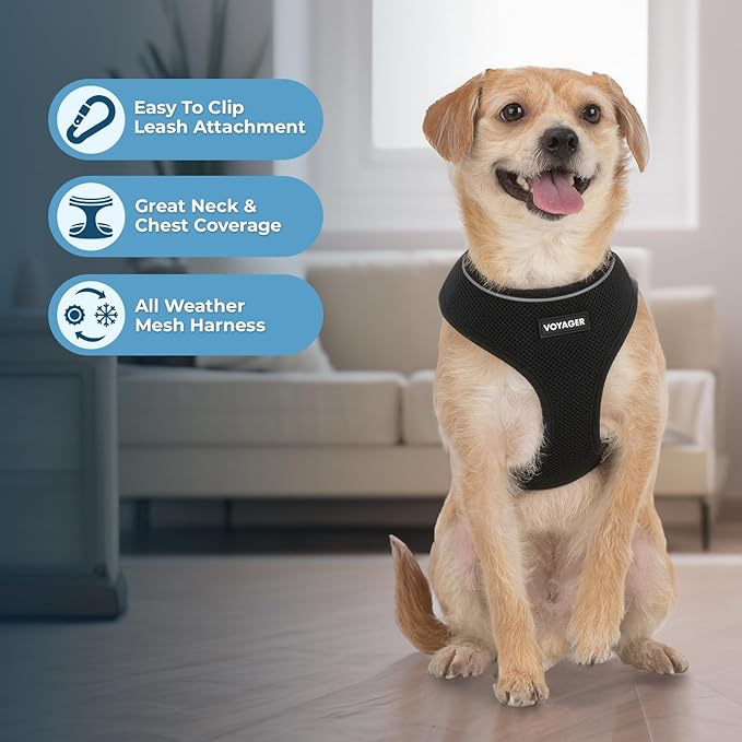 Aerolite No Pull Mesh Dog Harness with Lightweight, Soft, Breathable Chest Coverage, Reflective Stitching, and Adjustable Straps for Walking, Running, Training, Heavy Duty and Durable - Black, XL