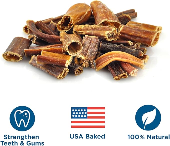 Gullet Jerky Bites Dog Treats | 1.5 lb Bag | USA Baked & Packed - All-Natural Beef Dog Treats - Light and Medium Chew Rawhide-Free Snack for All Dogs - Perfect Size for Treats and Rewards