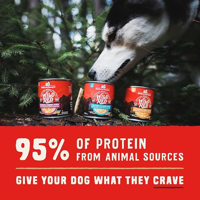 Stella & Chewy's Wild Red Stew High Protein Wet Dog Food Large Variety Pack Bundle, 10 Ounce Cans (Pack of 18)