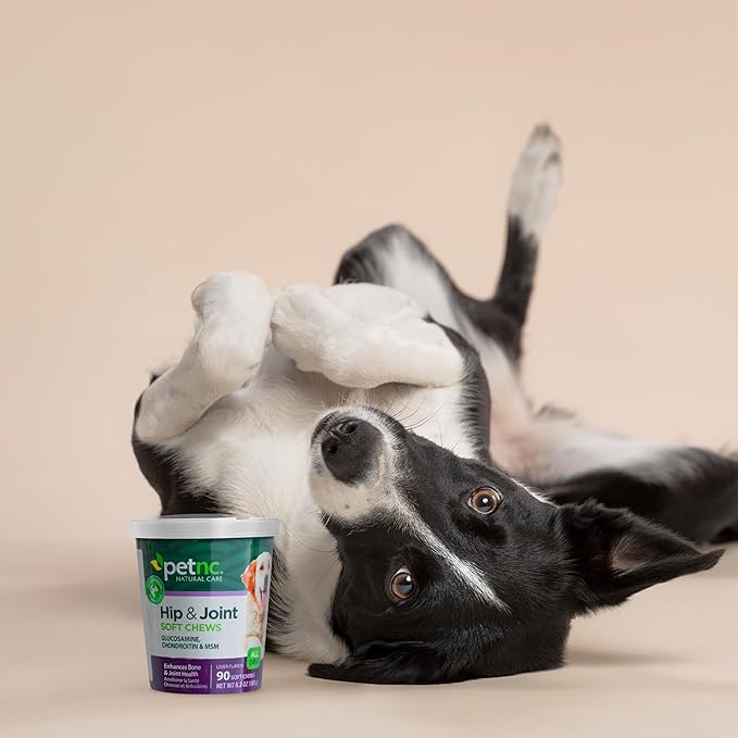 PetNC Natural Care Hip and Joint Soft Chews for Dogs, 90 Count,Liver,6.3 oz