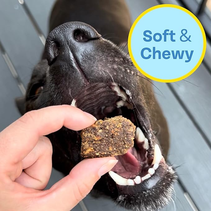 Fish, Pumpkin, Apple Grain-Free Dog Treats (5oz, 1-Pack) | USA Wild-Caught Human Grade Fish | Hypoallergenic, Chicken-Free | Best Training Treats | Puppies & Senior Dogs | Low Fat Dog Treats