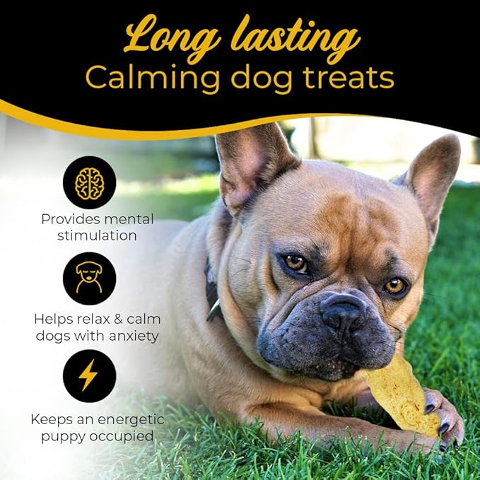 Cheese Dog Chews|US-Crafted for Puppies & Dogs |Softer Natural Alternative to Himalayan Dog Chews & Yak Chews| Salt & Rawhide-Free| Tastier than Yak Chews (6 Large Sticks)