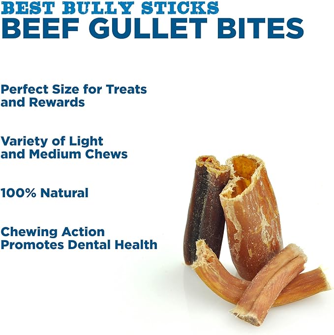 Gullet Jerky Bites Dog Treats | 1.5 lb Bag | USA Baked & Packed - All-Natural Beef Dog Treats - Light and Medium Chew Rawhide-Free Snack for All Dogs - Perfect Size for Treats and Rewards