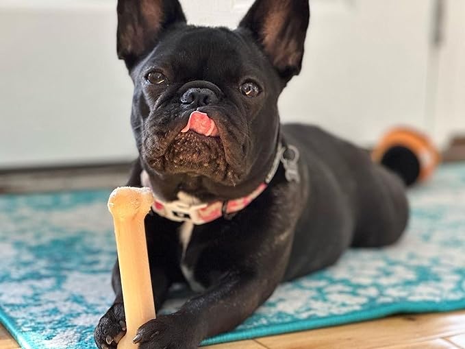 Nylabone Power Chew Classic Bone Chew Toy for Dogs, Durable Dog Toys for Aggressive Chewers, Original Flavor, Small/Regular - Up to 25 Ibs. (1 Count)