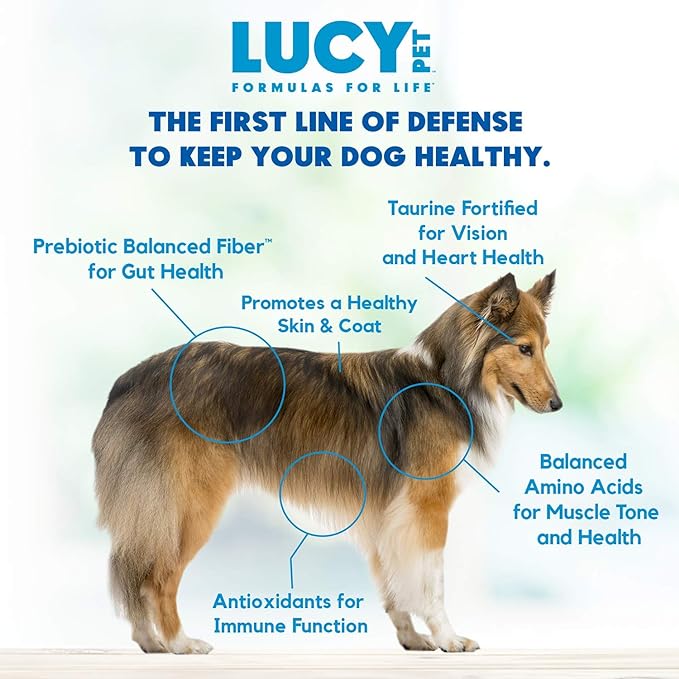 Lucy Pet Products Formulas for Life Duck, Pumpkin & Quinoa Dry Dog Food, All Life Stages, Digestive Health, Sensitive Stomach and Skin, 4.5lb bag