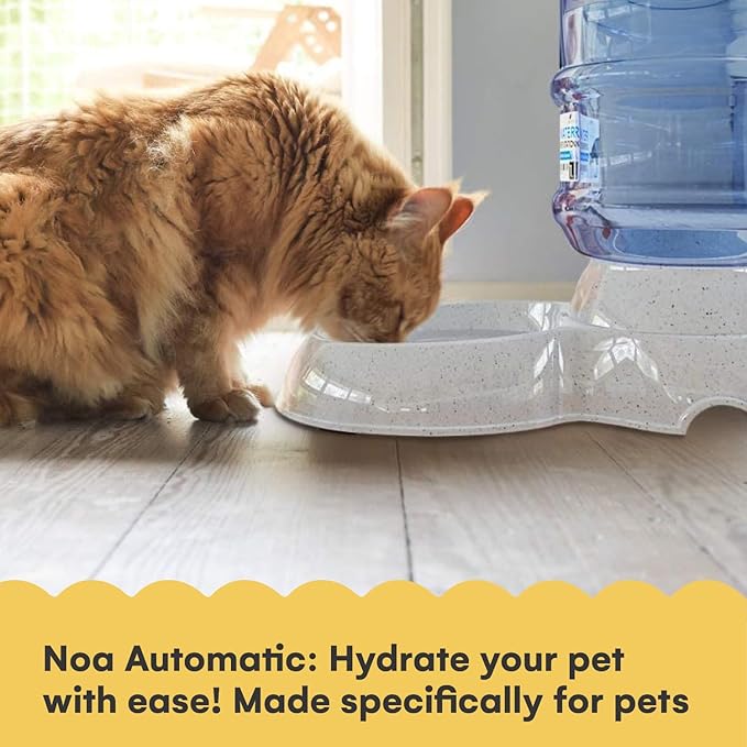 Noa Store Automatic Pet Water Dispenser | BPA Free 1 and 3 Gallon Cat Water Dispenser Food Dispenser, H20, Dog Small and Big Cat Feeder, Cat Water Bowl and Dog water dispenser, Automatic Pet waterer